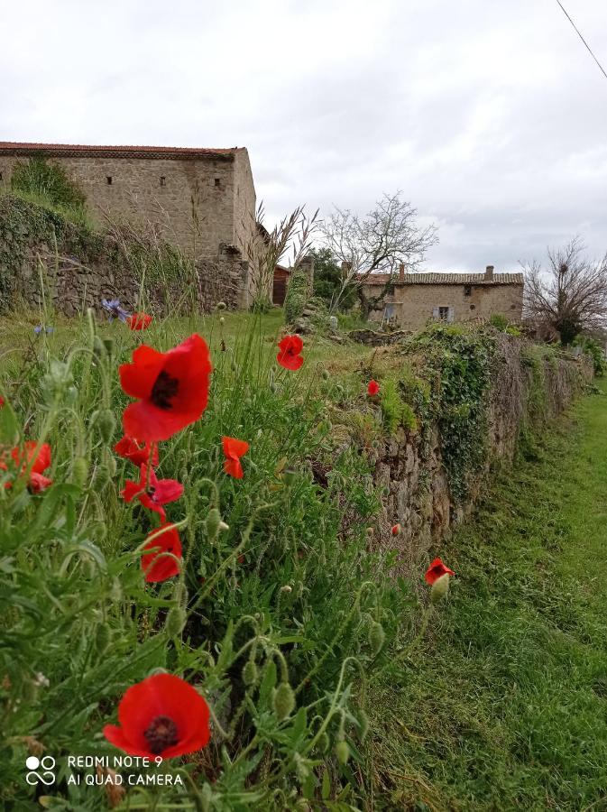Ferme De Fenivou Villa Boulieu-les-Annonay Eksteriør billede