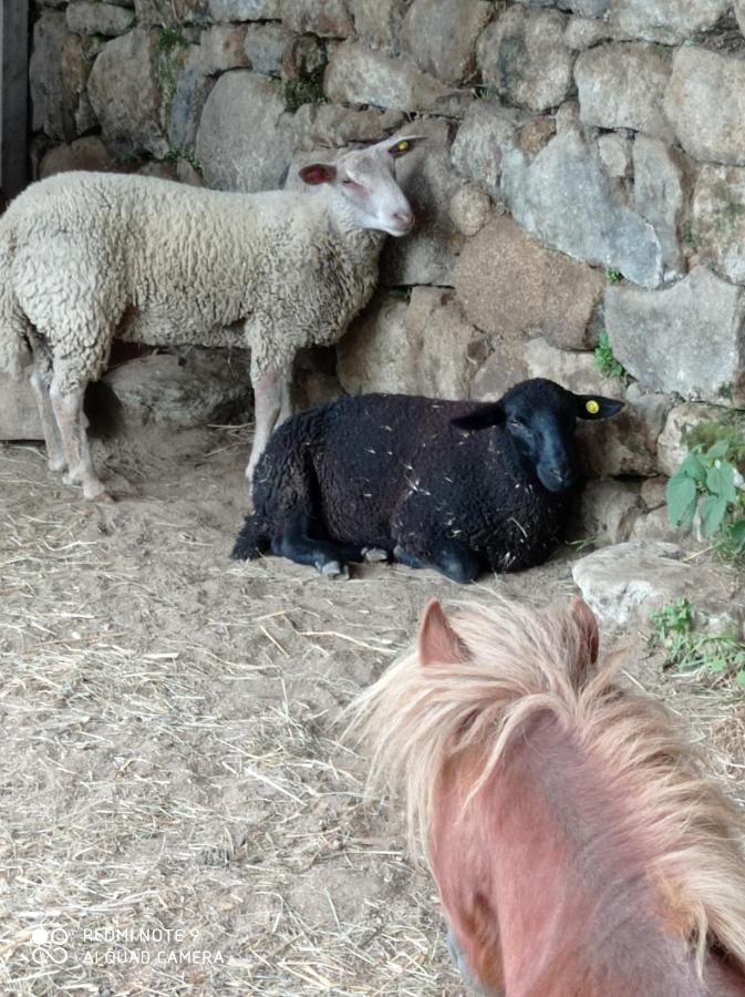Ferme De Fenivou Villa Boulieu-les-Annonay Eksteriør billede